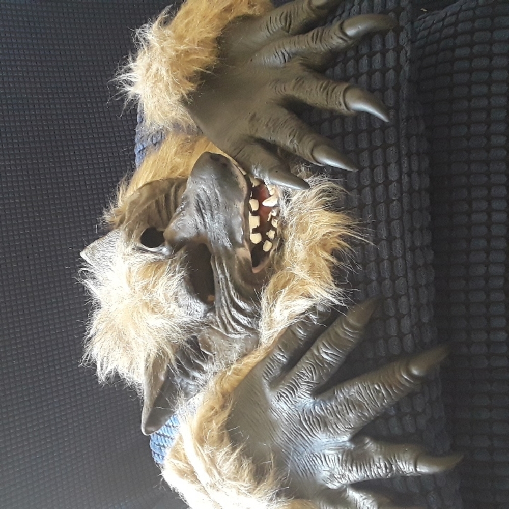 Werewolf mask and gloves